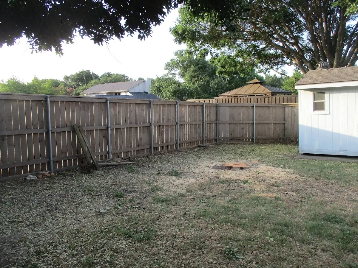 Cleared yard after professional tree removal in Sulphur